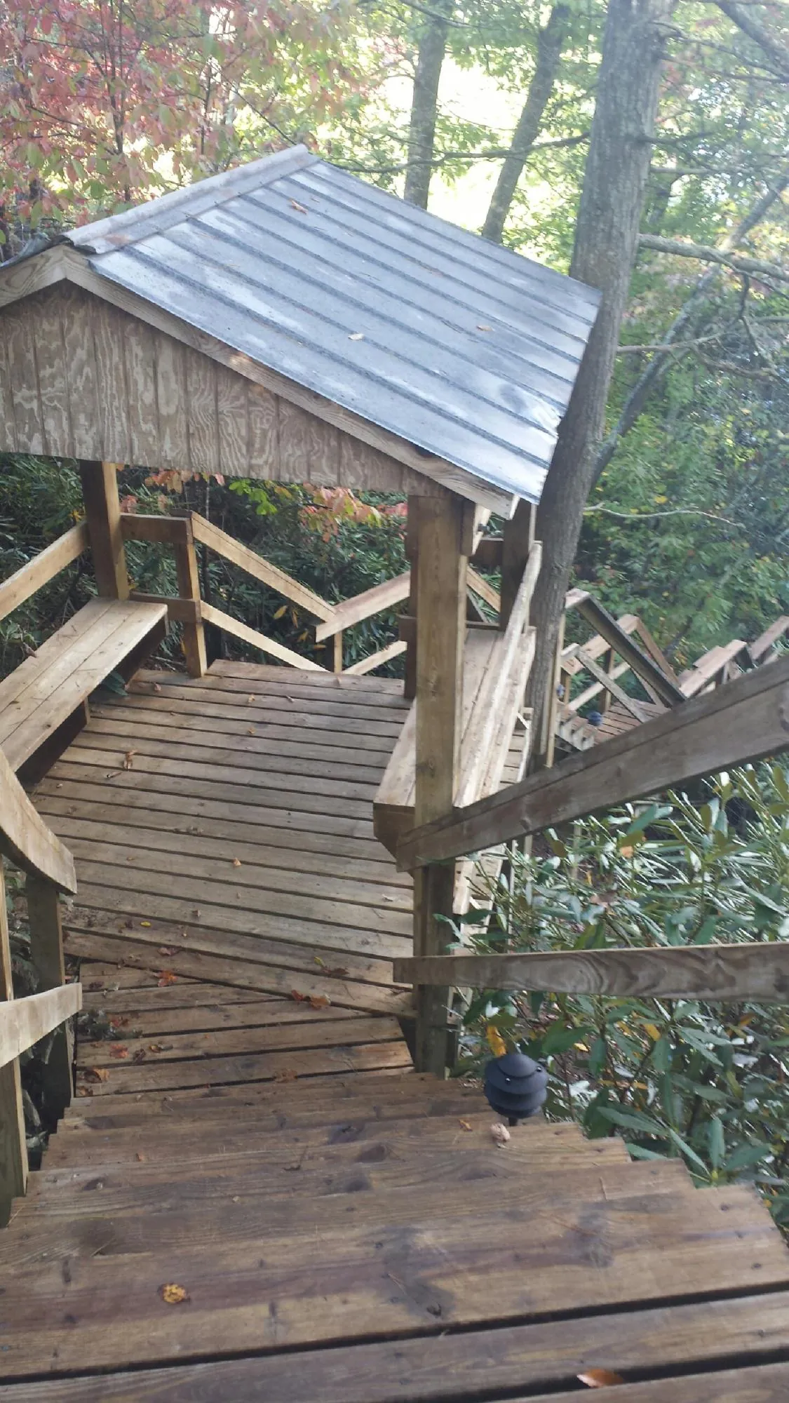 Metal roofed shelter over wooden steps on a wooded walkway — Skylight Repair & Installation work by our crew in Berkley